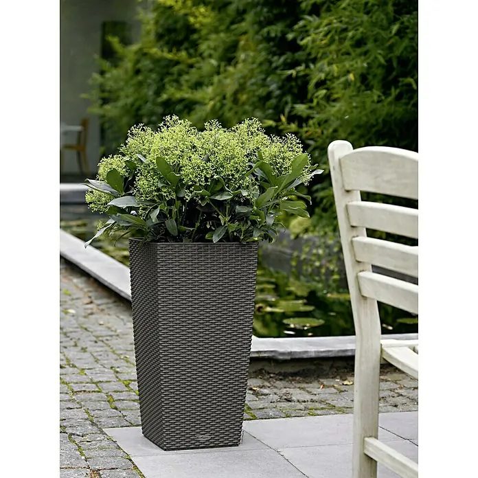 Lechuza Cottage Pflanzsäule eckig Cubico 30 - Außenmaß (L x B x H): 30 x 30 x 56,5 cm, Kunststoff, Granit - Schicker Pflanzkübel in Rattanoptik mit einer grünen Pflanze, perfekt für den Außenbereich und zur Dekoration von Terrassen.