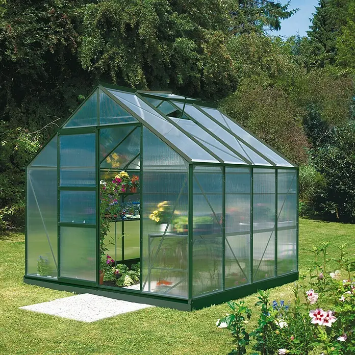 Vitavia Gewächshaus Merkus 6700 Plus - Außenmaß inkl. Dachüberstand (B x T): 257 x 258 cm, 4 mm, Smaragd - Dieses Bild zeigt ein Gewächshaus mit transparenten Wänden, das auf einer Rasenfläche steht. Im Inneren sind Pflanzen auf Regalen zu sehen.