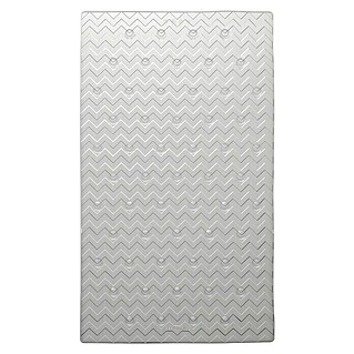 Sealskin Mat voor badkuipen Leisure (70 x 40 cm, Kunststof, Transparant)