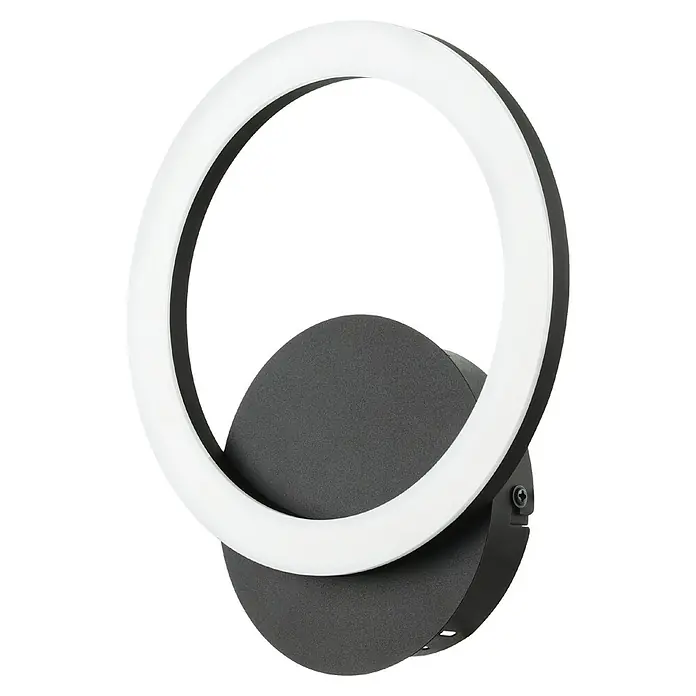 Eglo LED-Deckenleuchte PARRAPOS-Z - 12 W, L x B x H: 20 x 24 x 24 cm, Schwarz - Moderne LED-Wandleuchte mit einem kreisförmigen Lichtelement und einem stilvollen, dunklen Gehäuse für eine angenehme Beleuchtung.