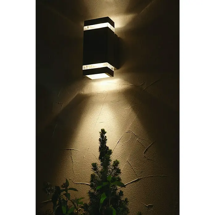 Lutec Aplique exterior LED Focus - 7,62 W, 10,9 x 11 x 23,5 cm, Antracita, IP44 - Lámpara de pared moderna y oscura con detalles claros, que emite una luz cálida sobre una pared texturizada y destaca una pequeña planta.