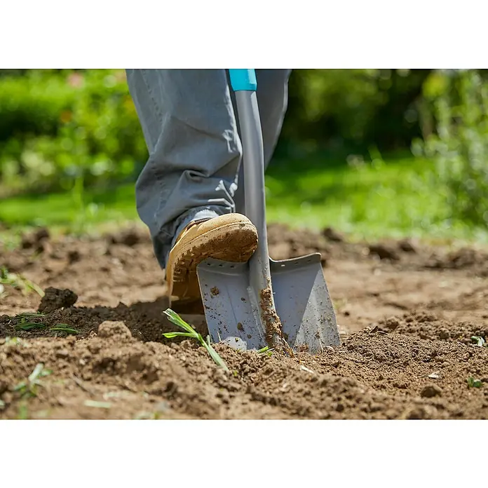 Gardena Ergoline Gärtnerspaten - Ergonomischer Stiel, Länge Stiel: 106 cm - 126 cm - Nahaufnahme einer Person, die mit einem Spaten mit blauem Griff im Garten arbeitet. Der Spaten sticht in die Erde, der Fuß des Gärtners stabilisiert ihn.