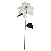 Flor artificial Poinsettia (Altura: 71 cm, Blanco, Plástico) | BAUHAUS