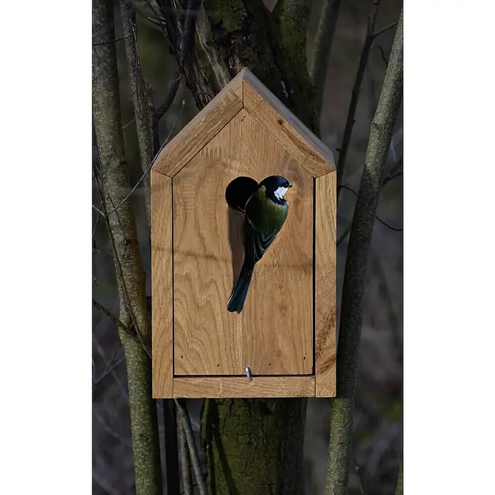 Dobar Vogelhaus Luxus - 16 x 16 x 28 cm, Natur, Holz - Ein hölzernes Vogelhaus mit einem Kohlmeise, die am Loch sitzt. Das Häuschen ist an einem Baum befestigt und bietet Schutz für Vögel.