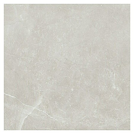 Feinsteinzeugfliese Bayona Silver (60 x 60 cm, Grau, Glänzend)