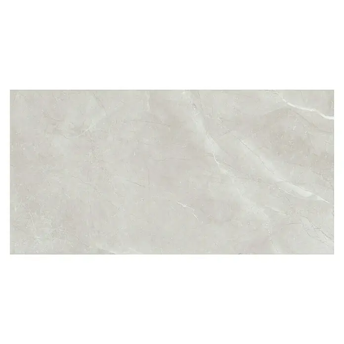 Feinsteinzeugfliese Bayona Silver - 60 x 120 cm, Grau, Glänzend - Nahaufnahme einer eleganten, hellgrauen Marmorfliese mit subtilen Maserungen, perfekt für moderne Innenräume.