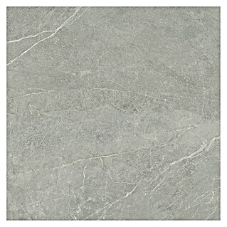 Halcón Pavimento porcelánico Tempo (120 x 120 cm, Ceniza, Pulido, Rectificado)