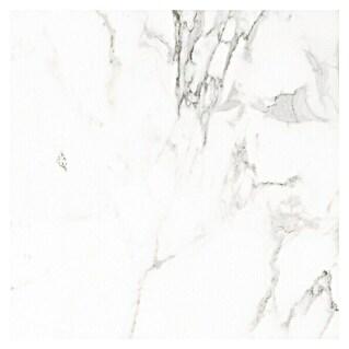 BHS Showroom Pavimento porcelánico Palatina (120 x 120 cm, Blanco, Mate, Rectificado)