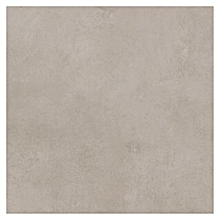 BHS Showroom Pavimento porcelánico Madox (60,5 x 60,5 cm, Arena, Mate)