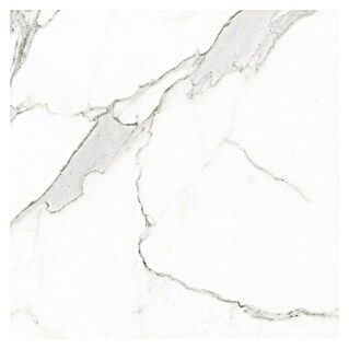 BHS Showroom Pavimento porcelánico Palatina (120 x 120 cm, Blanco, Brillante, Rectificado)