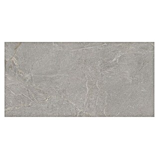Halcón Pavimento porcelánico Tempo (120 x 60 cm, Ceniza, Mate, Espesor: 9,5 mm)