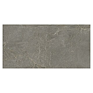 Halcón Pavimento porcelánico Tempo (120 x 60 cm, Dark, Pulido, Rectificado)