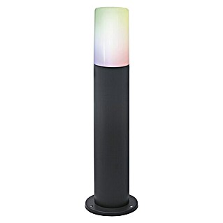 Ledvance Smart+ WiFi LED-Außenleuchte PIPE (10 W, Farbe Gehäuse: Dunkelgrau, IP44, 10 W, 13,5 x 13,5 x 50 cm)