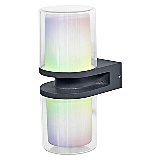 Ledvance Smart+ WiFi LED-Außenwandleuchte UPD Flare (Farbe Gehäuse: Dunkelgrau, IP44, 13,2 x 10 x 24,6 cm)