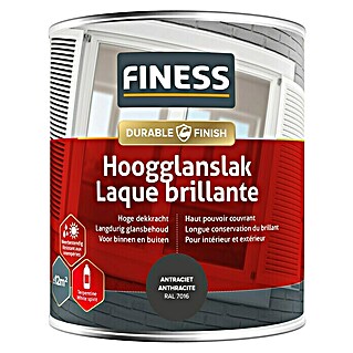 Finess Lak Hoogglans (Antraciet grijs, 750 ml)