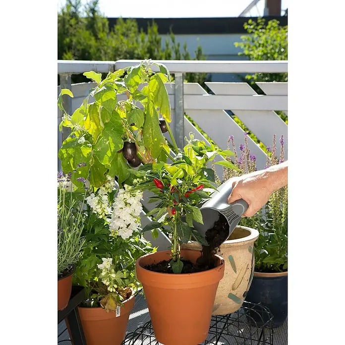 Gardena Gartengeräte - 4 -tlg. - Ein Mann gießt mit einer praktischen Schaufel Erde in einen Topf mit einer kleinen Chilipflanze, um sie zu pflegen.