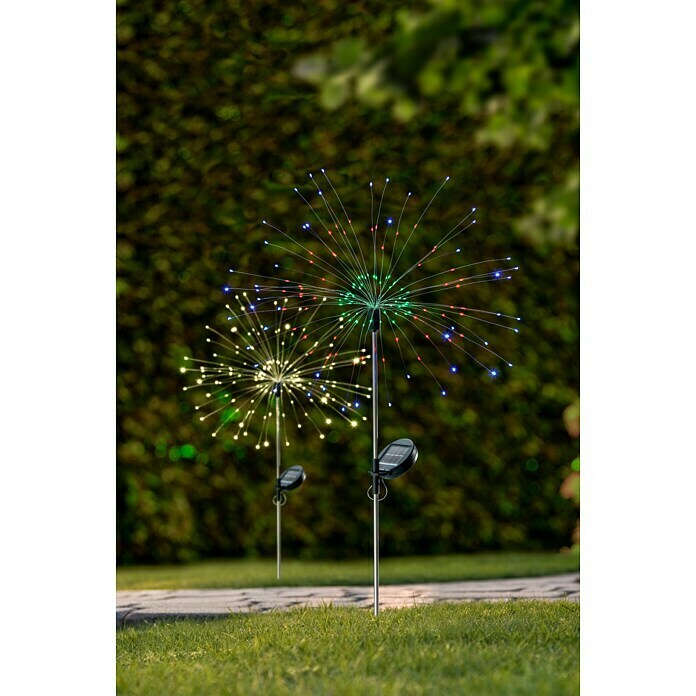 BAUHAUS Solar-decoratielamp Firework (Zwart, IP44, Lichtkleur: Warm wit) | BAUHAUS