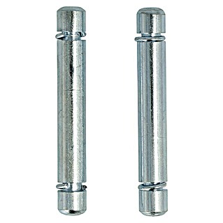 Stabilit Bundstift (Loch-/ Stiftdurchmesser: 8 mm, Geeignet für: Rückenloch 8 mm, 2 Stk.)