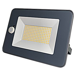 Profi Depot LED-Strahler (Bewegungsmelder, 30 W, 4.950 lm, 4.000 K)
