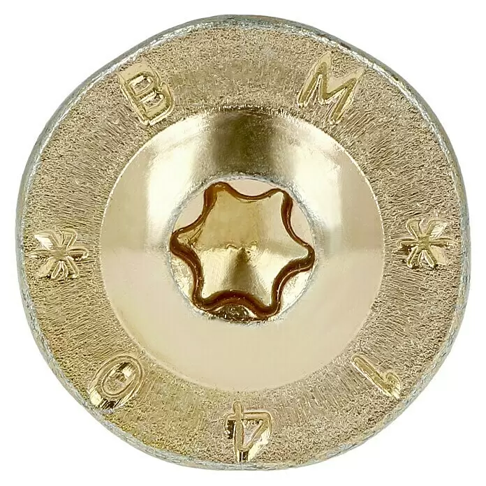 Profi Depot Holzbauschraube TX - Tellerkopf, TX für TORX-Antriebe, 50 Stk., Ø x L: 8 x 140 mm - Detailaufnahme