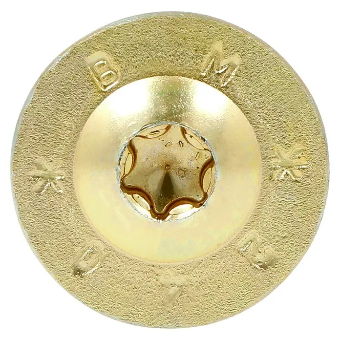 Profi Depot Holzbauschraube TX - Tellerkopf, TX für TORX-Antriebe, 25 Stk., Ø x L: 8 x 240 mm - Nahaufnahme eines goldfarbenen Torx-Schraubenkopfes, der die Details und die Beschriftungen auf dem Schraubenkopf zeigt.