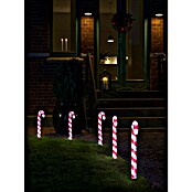 Konstsmide LED-Gartenstecker Zuckerstangen (Kaltweiß, Höhe: 43 cm, Kunststoff) | BAUHAUS