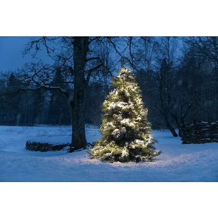 Konstsmide LED-Clusterlichterkette - Außen, Länge: 10,8 m, 768 Stk., Netzbetrieben - Stimmungsaufnahme