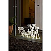 Konstsmide LED-Lichtschlauch Schlitten mit 2 Rentieren () | BAUHAUS