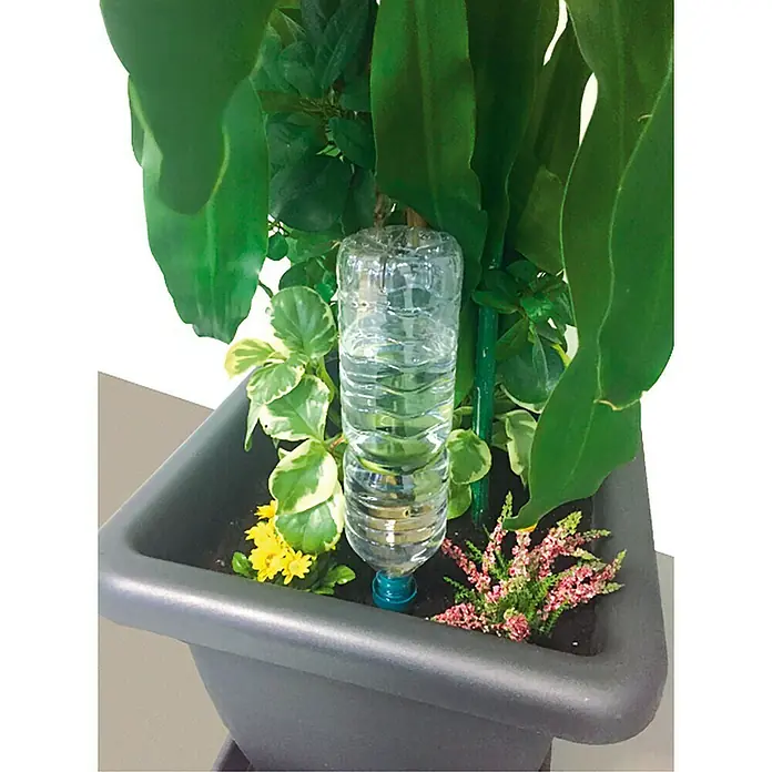 Sistema de irrigación especial vacaciones - Plástico, 4 pzs. - Planta en maceta con sistema de riego. Se utiliza una botella de agua boca abajo como ayuda de riego DIY para mantener la planta hidratada.