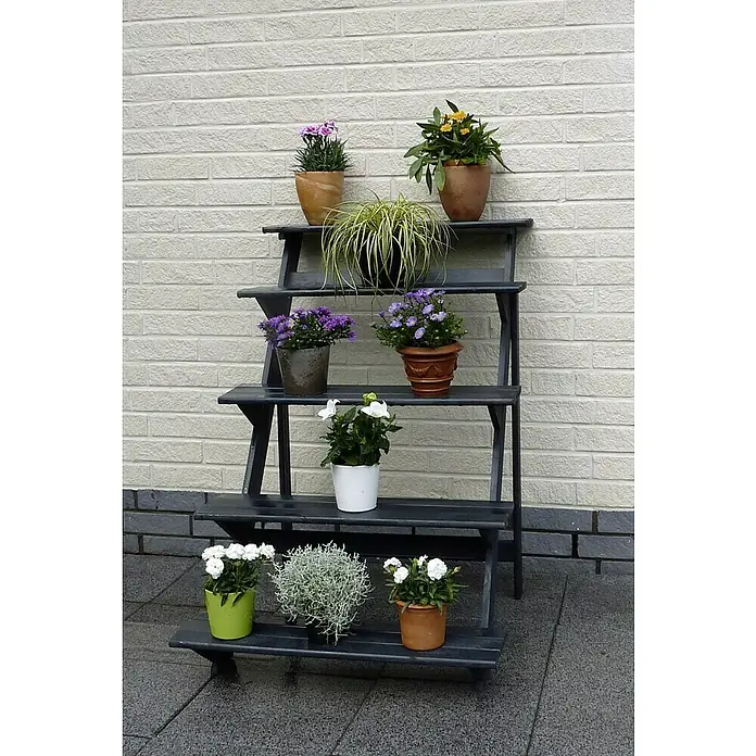 bambus richtig pflanzen im topf XXL Fargesia Rufa Bambus 180 cm im Topf  Winterharter Schirmbambus bi   Blumen-Senf