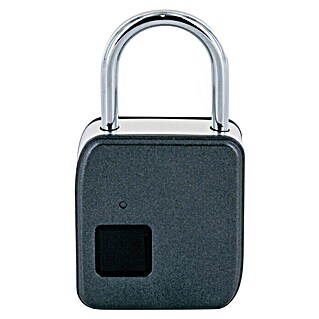 Schwaiger Vingerafdrukslot USB Type C (Antraciet)