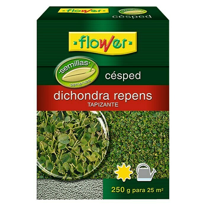Flower Semillas para césped Dichondra Repens (250 g)