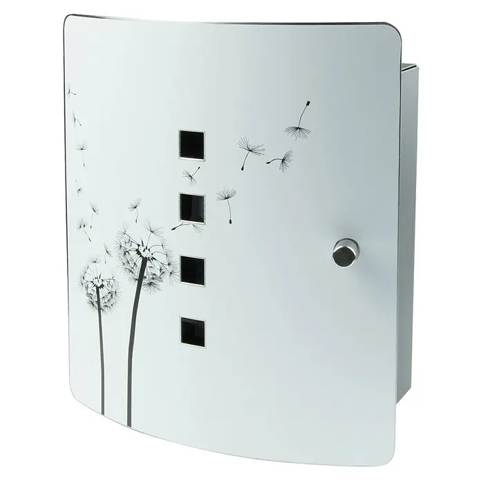 Burg-Wächter Schlüsselkassette - L x B x H: 7 x 21 x 24 cm, Anzahl Haken: 10 Stk., Pusteblume - Ein weißer Medizinschrank mit Pusteblumen-Motiv und einem Griff zum Öffnen, ideal für die Aufbewahrung von Medikamenten.