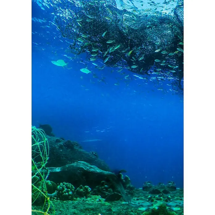 Eimer aus recycelten Fischernetzen - Kunststoff, Fassungsvermögen: 10 l - Unterwasseraufnahme eines Geisternetzes, das mit Fischen verheddert ist, was die Verschmutzung der Meere und die Gefahren für das Leben im Meer verdeutlicht.