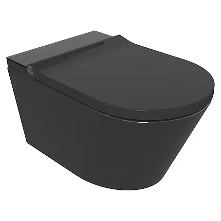 Camargue  Wand-Dusch-WC-Set Timeless Dark Clean