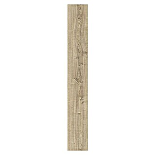LOGOCLIC Laminado Roble Aral (AC4, 1.380 x 193 x 8 mm, Efecto madera, Roble Aral)