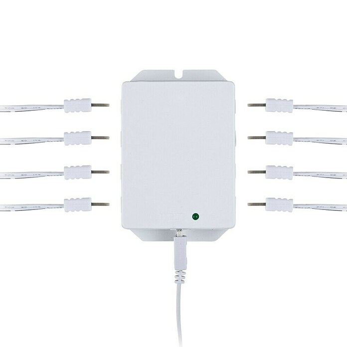 Paulmann Clever Connect Led-driver 8-voudig (12 V, 36 W) | BAUHAUS