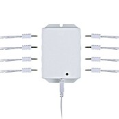 Paulmann Clever Connect Led-driver 8-voudig (12 V, 36 W) | BAUHAUS