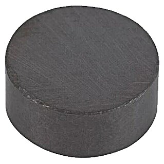 Fix-o-moll Magnetscheibe Ferrit (Rund, Durchmesser: 14,5 mm, Höhe: 4 mm)