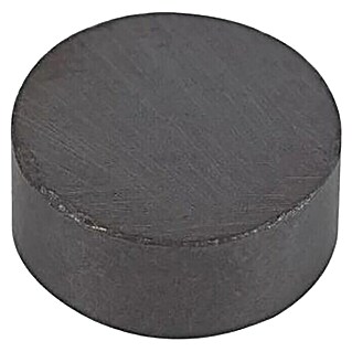 Fix-o-moll Magnetscheibe Ferrit (Rund, Durchmesser: 9,5 mm, Höhe: 4 mm)