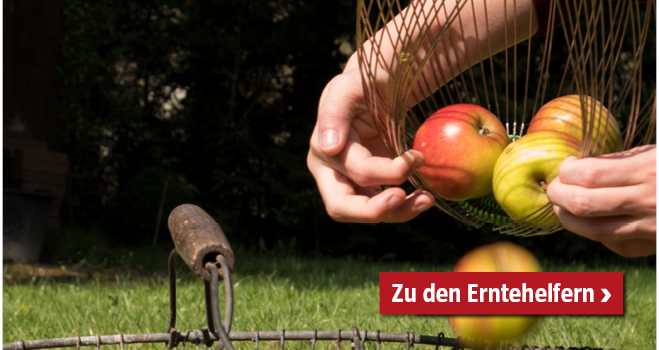 Erntehelfer