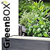 Wagner System GreenFamily Hochbeet GreenBOX light (83 x 34,5 x 70 cm, Holz, Anthrazit) | BAUHAUS