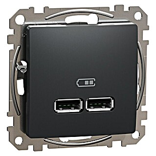 Schneider Electric Sedna Design & Elements Toma USB 2 X A (Antracita, 2 conexiones, Plástico, En pared)