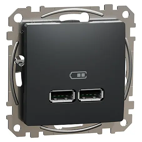 Schneider Electric Sedna Design & Elements Toma USB 2 X A