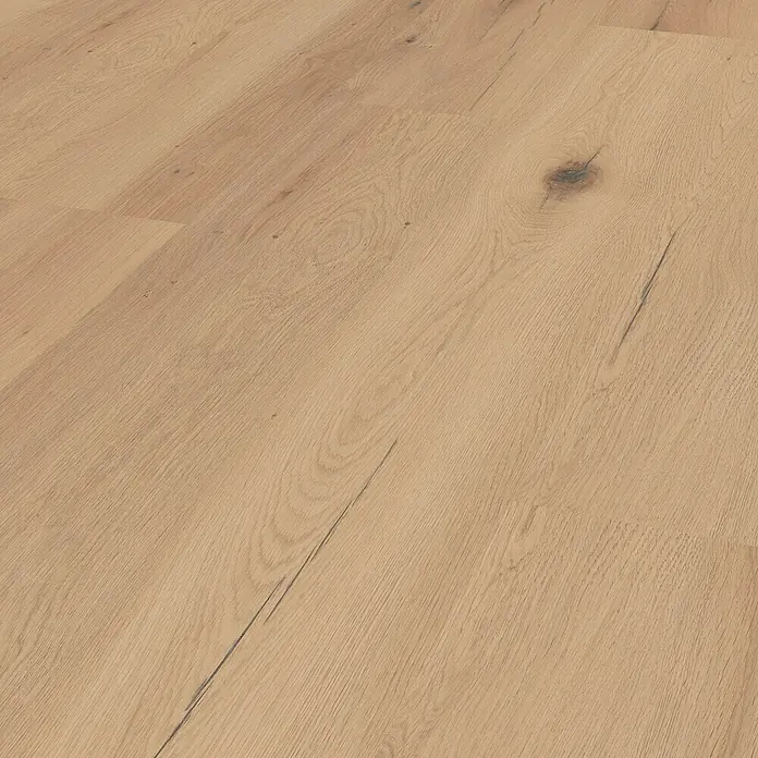 LOGOCLIC Laminatmuster Silentos Eiche Forli - 296 x 195 x 1 mm, Landhausdiele - Nahaufnahme eines hellen Eichenholzfußbodens mit sichtbaren Holzmaserungen und Astlöchern, der eine natürliche und warme Atmosphäre schafft.