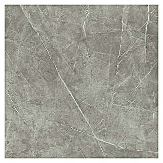 Feinsteinzeugfliese Marble Vision (60 x 60 cm, Grau, Seidenmatt)