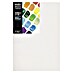 Liquitex Basics Slikarsko platno z okvirjem 