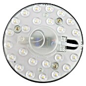Módulo LED Blister (24 W, Blanco, L x An x Al: 14 x 14 x 3 cm)