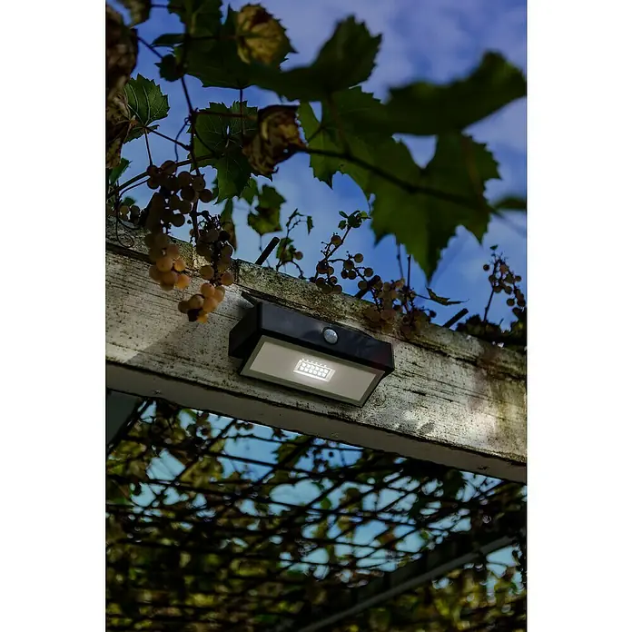 Lutec Aplique solar para exterior Arrow LED - 2 W, L x An x Al: 10,9 x 7,4 x 17,6 cm, Antracita, Blanco, IP44 - Una luz solar con sensor de movimiento está montada en una viga de madera bajo viñas, proporcionando iluminación brillante.