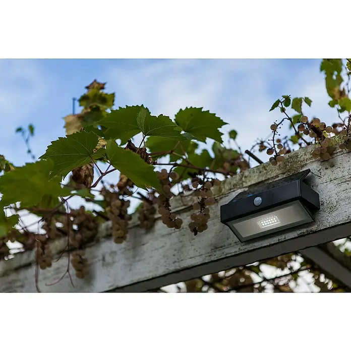 Lutec Aplique solar para exterior Arrow LED - 2 W, L x An x Al: 10,9 x 7,4 x 17,6 cm, Antracita, Blanco, IP44 - Primer plano de una lámpara de pared LED de energía solar para exteriores montada en una estructura blanca, con plantas y un cielo azul de fondo.